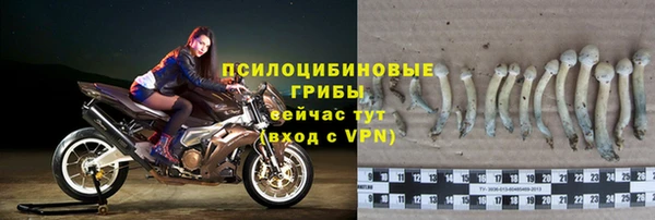 дурь Алексин