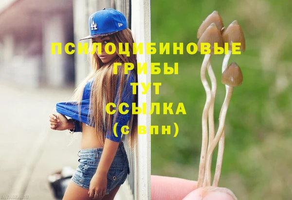 дурь Алексин